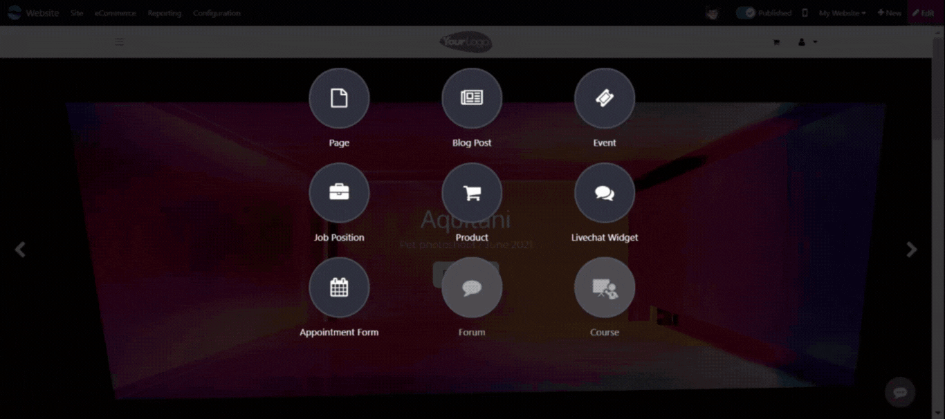 Odoo Website template Odoo Website template